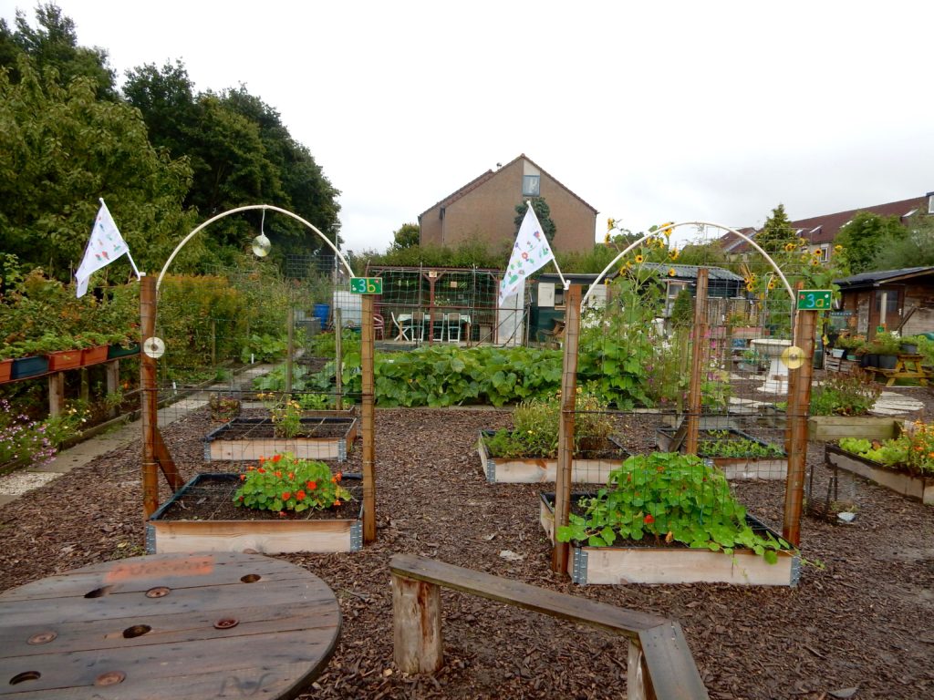 Overzicht van het moestuincomplex