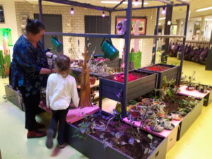 Juf geeft uitleg aan leerling over de binnentuin, verschillende plantenbakken met planten