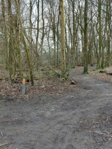 Oranjepad in het Beatrixpark