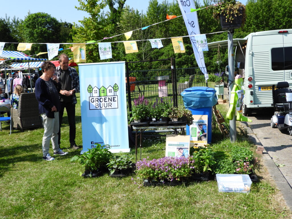 Actie tegel eruit plant erin