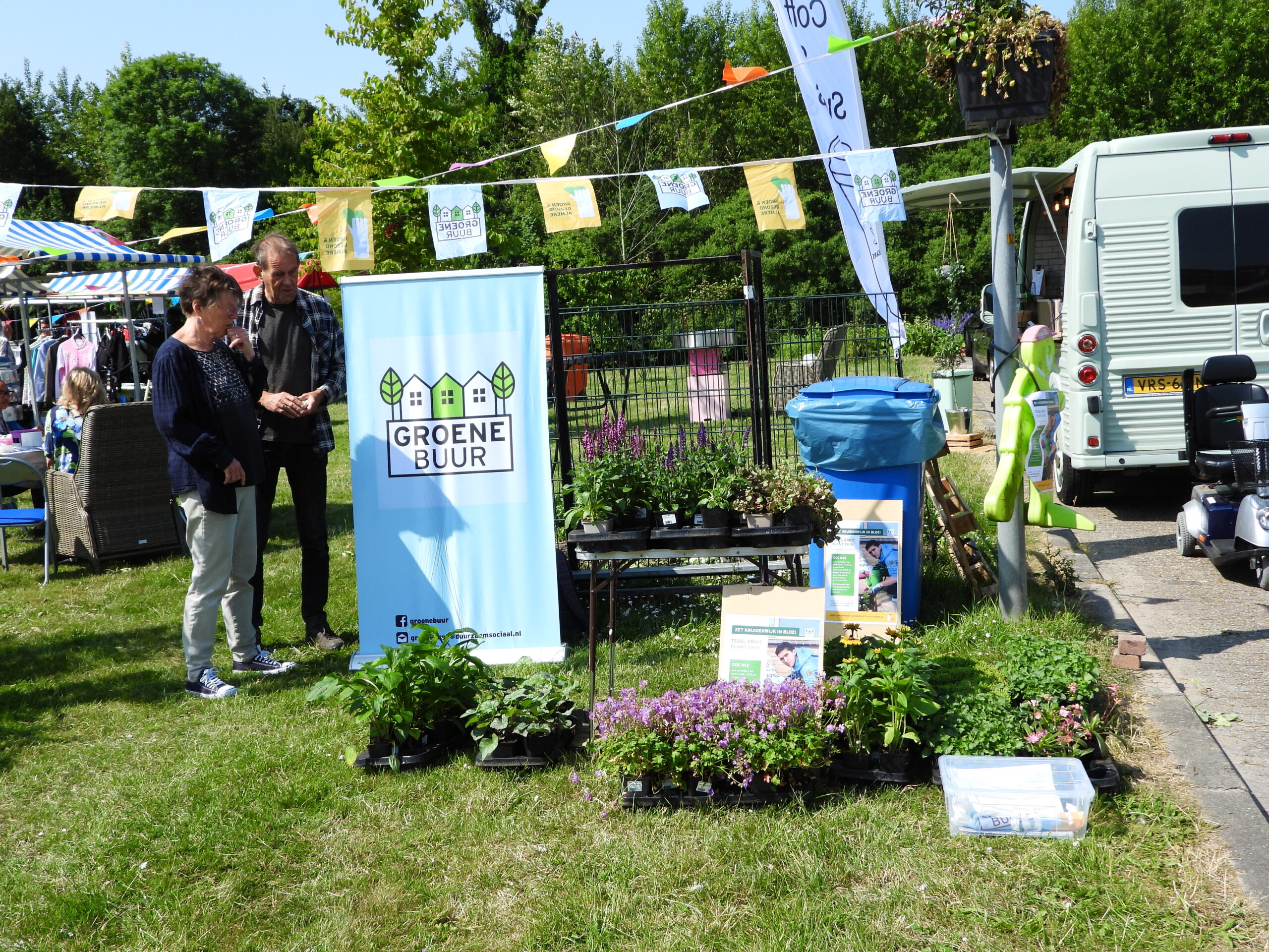 Actie tegel eruit plant erin