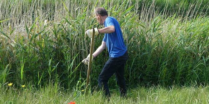 Jetze is met recht een Groene Buur. In de berm langs het water bij Jetzes huis kun je dat goed zien; weelderig gras met bloeiende planten, waar de bijen en vlinders zich aan te goed doen.